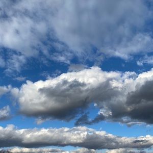 Meet your Posher, Bob